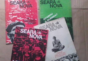 imagem_2