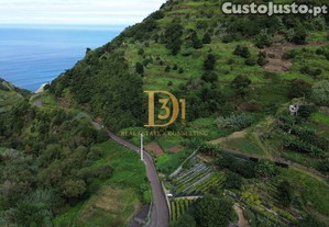 imagem_11