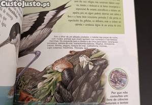 imagem_6