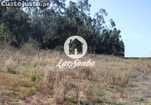 imagem_9