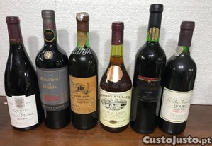 imagem_4