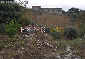 imagem_5