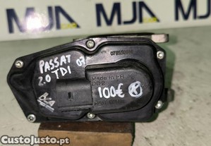 imagem_7