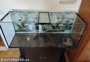 Aquario Scalare 250Lt  120 x 40 x 52