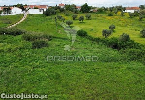 imagem_11