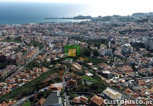 imagem_13