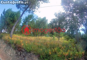 imagem_5