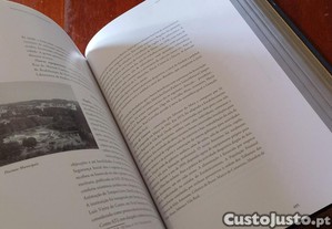imagem_9