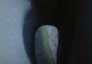 imagem_4