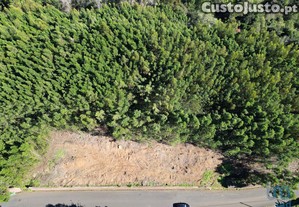 Terreno em Caniço de 1490,00 m²