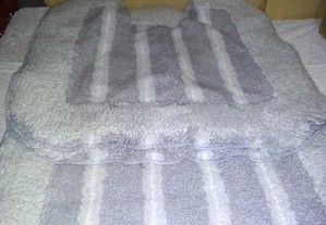 conjunto de tapetes casa de banho cinza