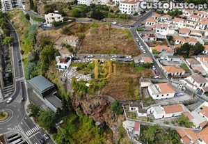 imagem_11
