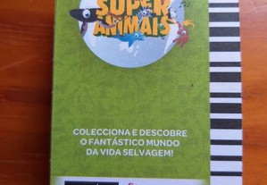 imagem_2