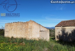 imagem_7