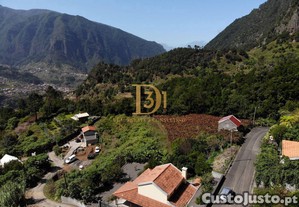 imagem_11