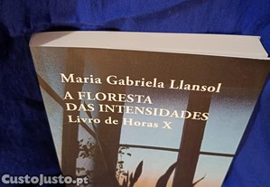 A Floresta das Intensidades - Livro de Horas X de Maria Gabriela Llansol. Novo.
