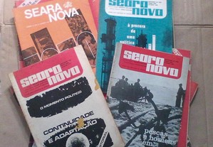 imagem_5