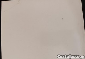 imagem_7