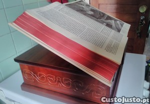 imagem_2
