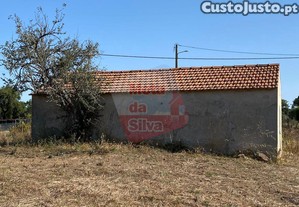 imagem_5