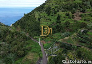 imagem_11