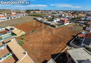 imagem_3