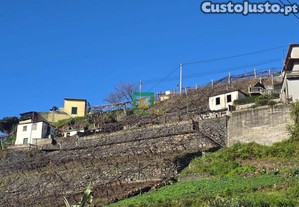 imagem_14