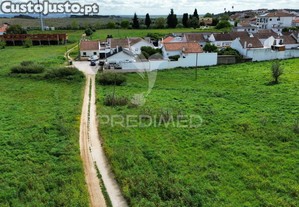 imagem_7