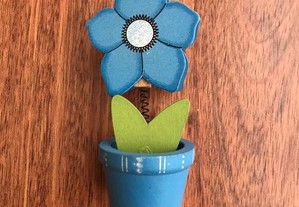 Flor Azul para segurar Fotografias