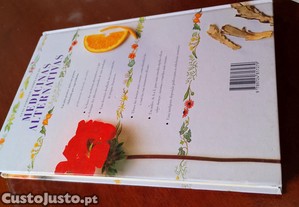 imagem_10