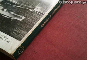 imagem_6