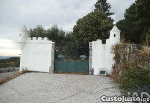 imagem_22