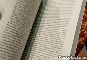 imagem_3