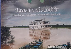 imagem_7