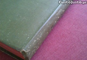 imagem_10