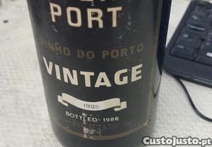 imagem_6