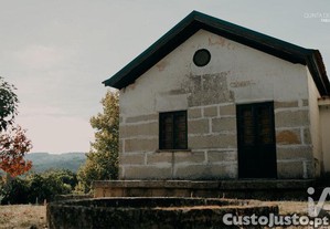 imagem_8
