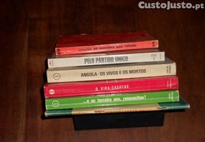 imagem_3