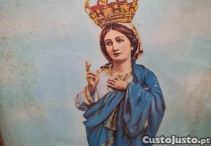 imagem_8