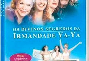 imagem_2