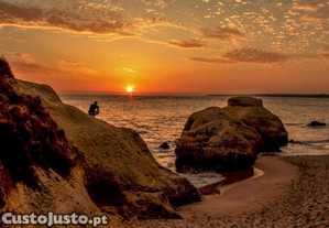 imagem_8