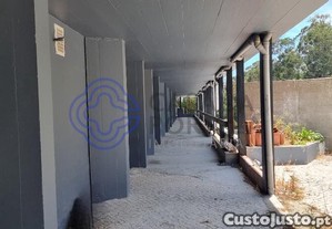 imagem_19