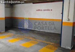 imagem_29