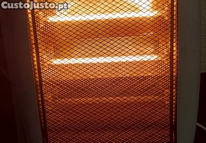 Aquecedor halogéneo Raydan 1200W. Com temporizador e oscilante. Bom estado e como novo. BAIXA DE PREÇO