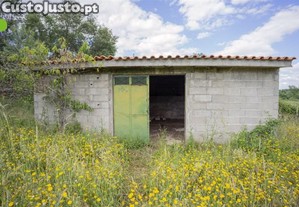 imagem_15