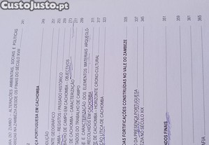 imagem_13