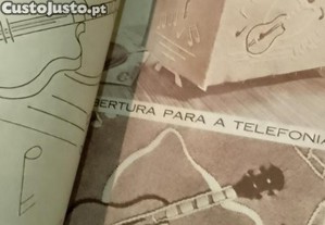 imagem_7