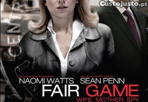 imagem_7