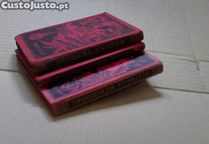 imagem_3