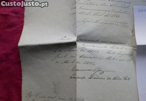 imagem_4